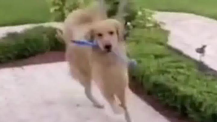 I stumble and rush toward you.