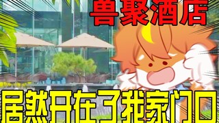 เหลือเชื่อ! ฝูงสัตว์รวมตัวกันที่หน้าบ้าน???