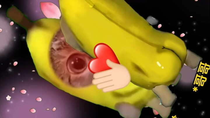 Anh trai tôi hơi đáng tin cậy? 1+2