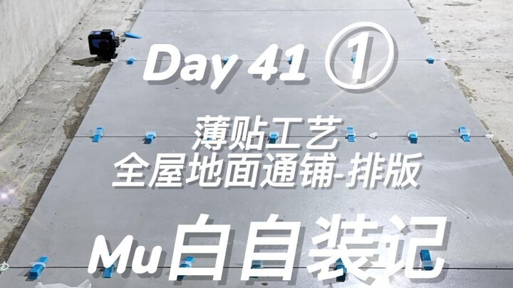 Is Seamless Flooring Across the Whole House a Waste of Money? - Measurement and Layout #Thin-Set Ins