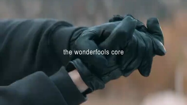 The Wonderfools