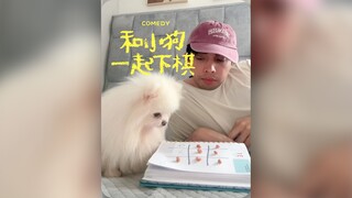 别惹小狗‼️