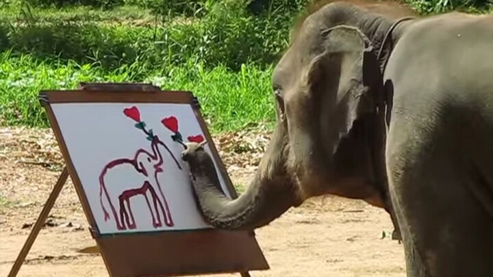 用艺术感恩的大象