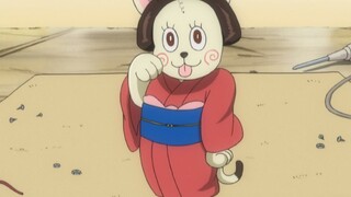 Gintama: Ai mà ngờ được Tiểu Vũ lại trông như thế này khi cô bé mới sinh ra chứ?