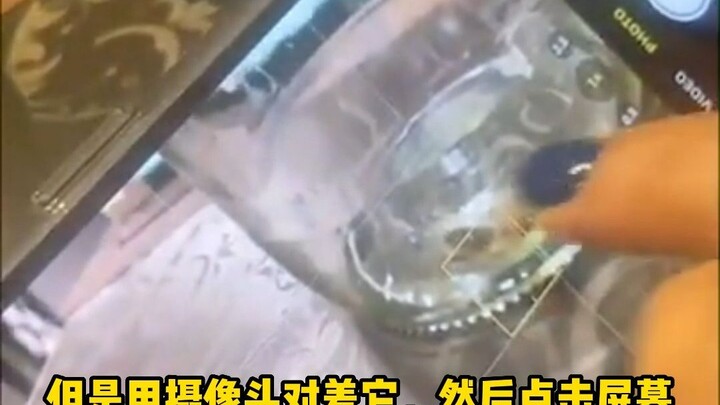 手机摄像头对着昆虫，为啥昆虫会害怕？手机是如何完成自动对焦的？