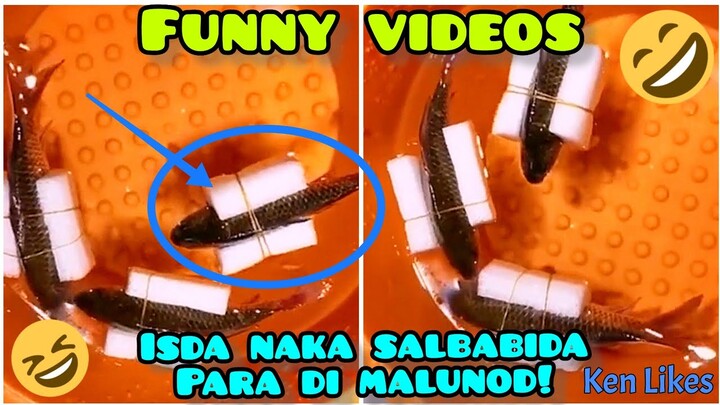 ISDA Naka SALBABIDA, para hindi MALUNOD 🤣 PINOY FUNNY VIDEOS 2022, Funny Memes, Pinoy Kalokohan