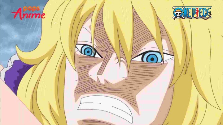 Hakuba Nguồn : Pops Anime