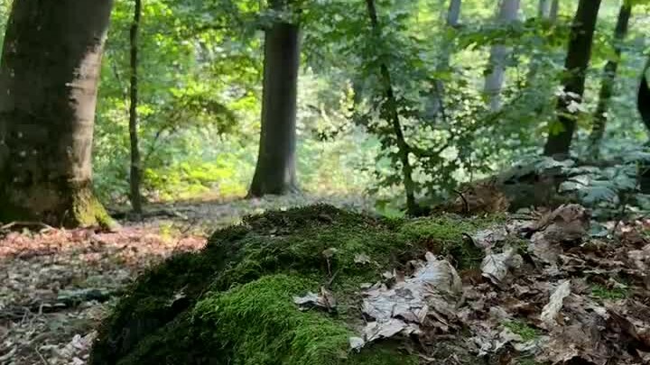 Whether you’re indoors or outdoors, surrounded by zombies, here’s how to conveniently heat your cann