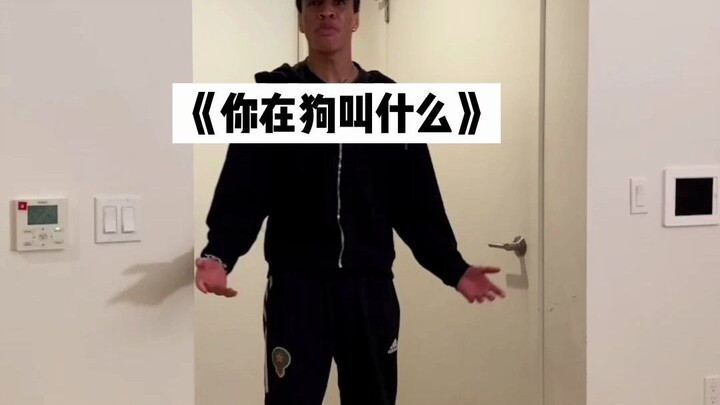 恐怖电影里的狗狗...