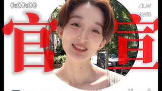 “那天我走向你，像逆行的企鹅走向雪山”