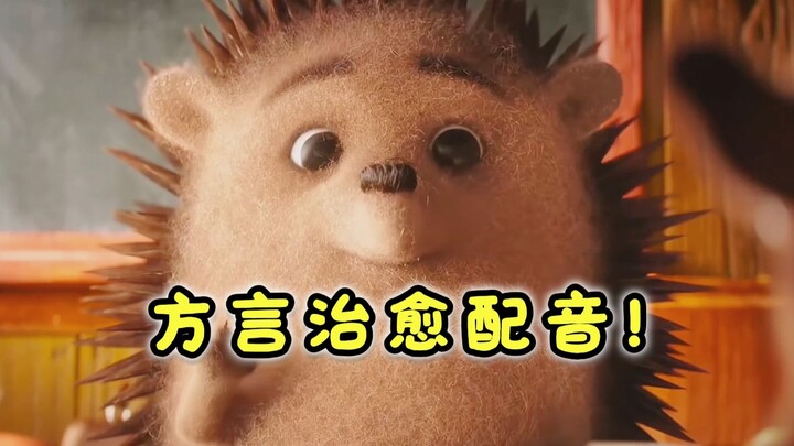 “Con nhím nhỏ ở Hà Nam muốn kết bạn”