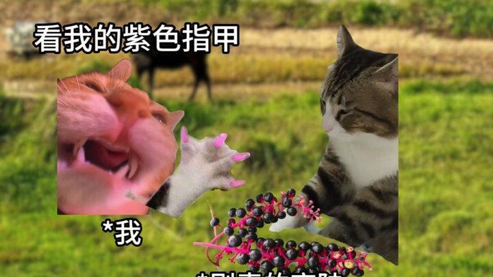 小时候的生命值是真的高