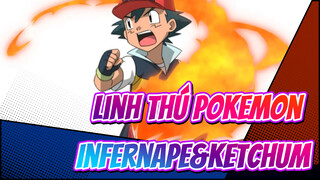 Linh thú Pokemon|【Infernape&Ketchum】Type：Wild，Thời thế tạo anh hùng