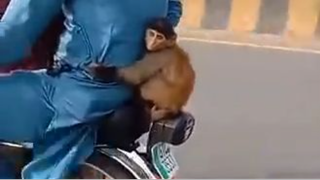 amazing Pakistani most funny video