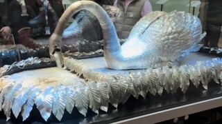 What did swans look like 200 years ago?