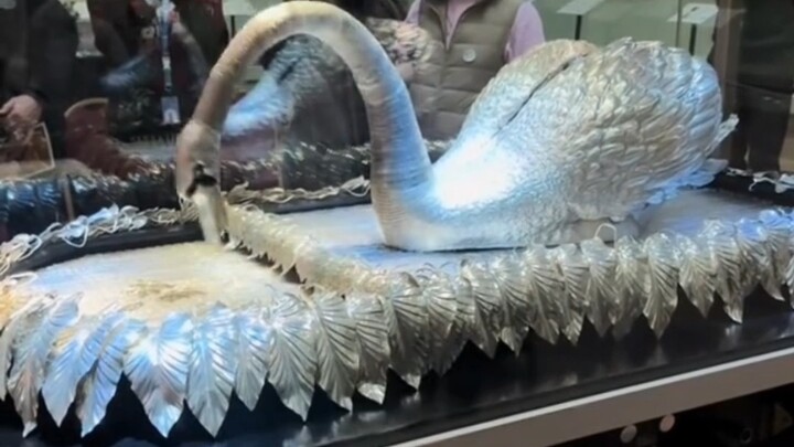 Thiên nga trông như thế nào cách đây 200 năm?