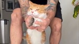 Kitty repays the favor, human: thank you!
