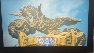 Zelda breath of the wild 🛡️