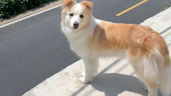 Is calling someone by their full name every parent's secret weapon?