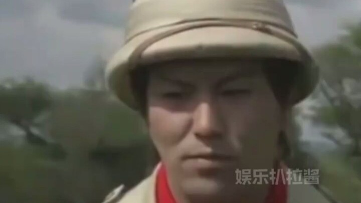 Lion—meeting a fellow creature with two legs for the first time!