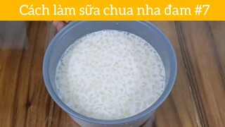 Cách làm sữa chua nha đam p7
