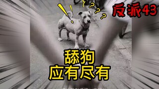 重生成为反派43：舔狗应有尽有