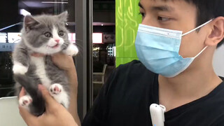 猫: 我自己能介绍自己