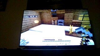 This is my first video of Minecraft