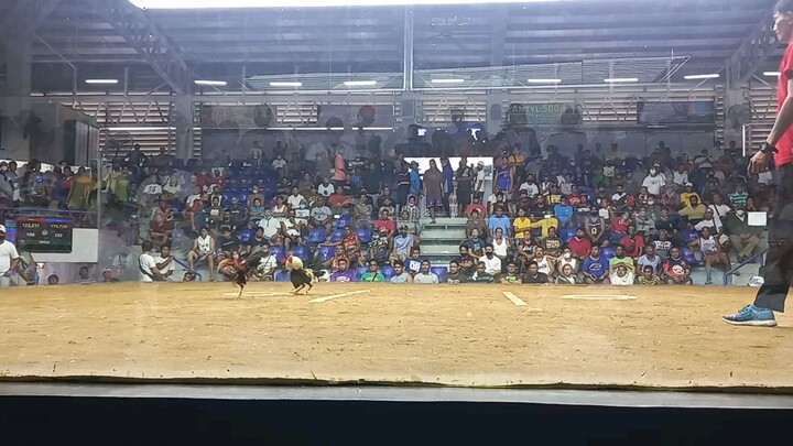 semis mbc national 2nd fight.WIN