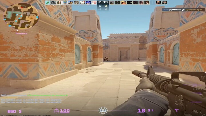 casual counter strike enjoyer
