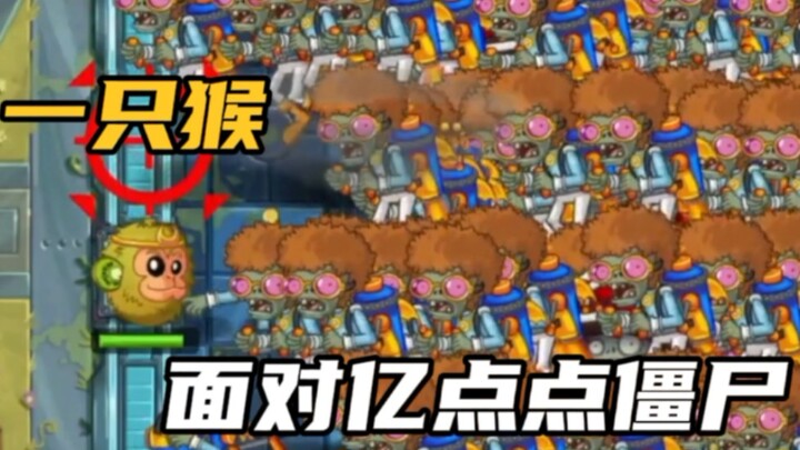 في البداية مجرد قرد واحد: للمرة الأولى أكره نبتة الكيوي إلى هذا الحد!