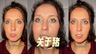 关于猪猪的一些令人不安的事实🐷