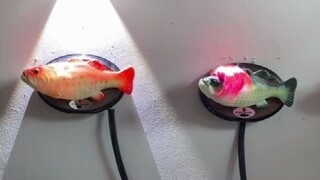 Một cư dân mạng đã biến chiếc loa thông minh thành máy nghe nhạc hình con cá. Trông có vẻ hơi kỳ quặ