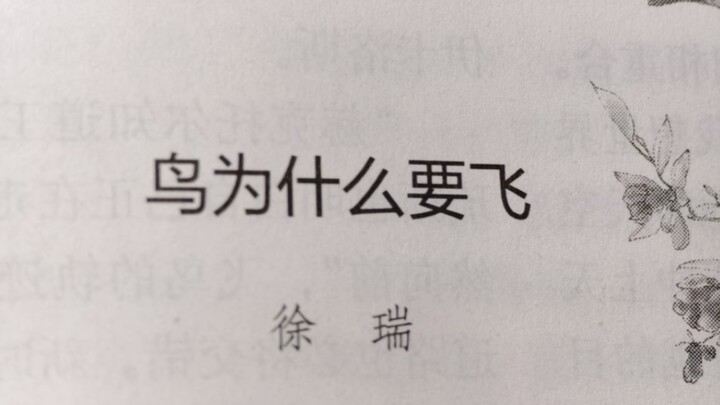 رجاءً، لاعبو Genshin Impact 3، خفّفوا من الإسفاف عند نشر المحتوى!