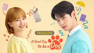 A Good Day to be a Dog Episode 4 TAGALOG DUBBED HD