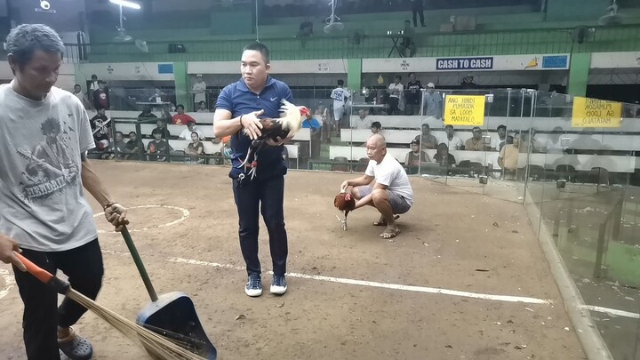 2nd fight, capital grey win