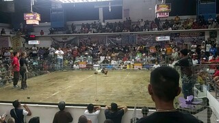 3rd Fyt Day Champion sa Pasay Anniv 2024