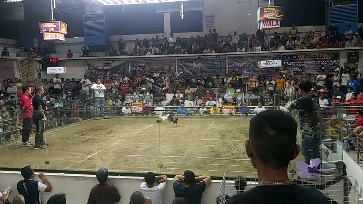 3rd Fyt Day Champion sa Pasay Anniv 2024