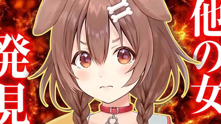 【Thịt chín】Tôi đã phát hiện ra đối tác gian lận của khán giả, Inugami Qinyin