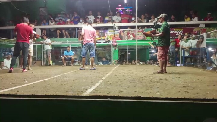 champion 2hits, 5x winner