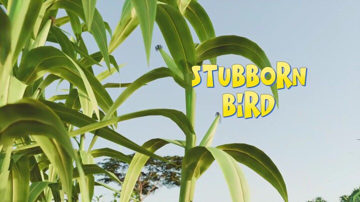 A feathery surprise