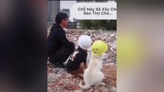 Khi bạn gặp thằng chủ thầu trời đánh..!!!🤣🤣 cuoibebung tiktok fyp