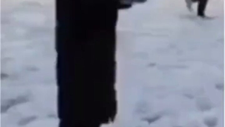 ความทรงจำแห่งเนื้อหนัง