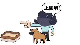 [Nhật ký chú chó ngốc] Cách huấn luyện chó đi vệ sinh, ghi chép về những lần huấn luyện chó thất bại
