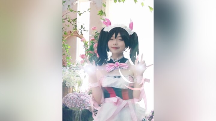 Yazawa Nico bosuaptg nicocosplay YazawaNico