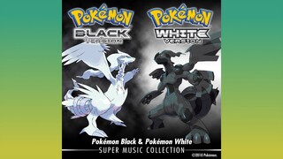 Driftveil City [Pokémon: Black & White]
