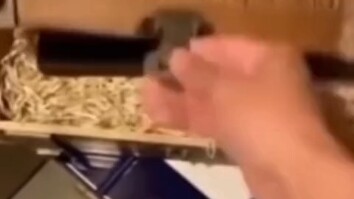 Amplifier Akar Pohon Kecil