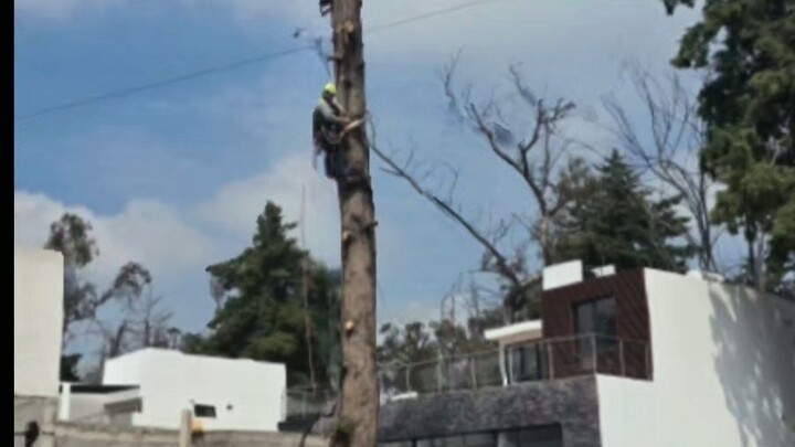 ATENCIÓN, BOSQUES DEL LAGO. 📢