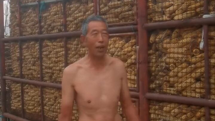 Corn is being purchased at 1.15 yuan per jin—does anyone still force buyers to pay?