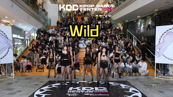 【فريق العروض التقديمية】 ما زال بإمكاننا مشاهدة العروض التقديمية لـ Nine Muses في عام 2024! Wild—Nine